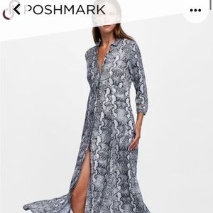 Zara Button down snake dress